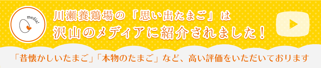濃い味造り 川瀬養鶏場 思い出たまご